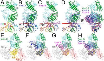 Identification and mechanistic basis of non-ACE2 blocking neutralizing antibodies from COVID-19 patients with deep RNA sequencing and molecular dynamics simulations